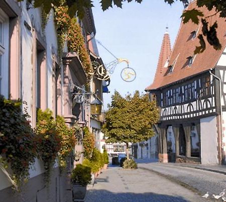 Hotel-Restaurant Drei Hasen Michelstadt Extérieur photo