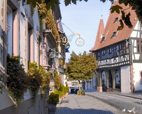 Hotel-Restaurant Drei Hasen Michelstadt Extérieur photo
