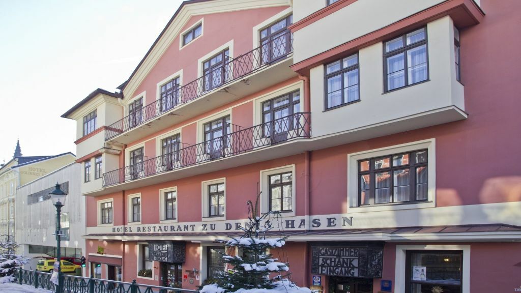 Hotel-Restaurant Drei Hasen Michelstadt Extérieur photo